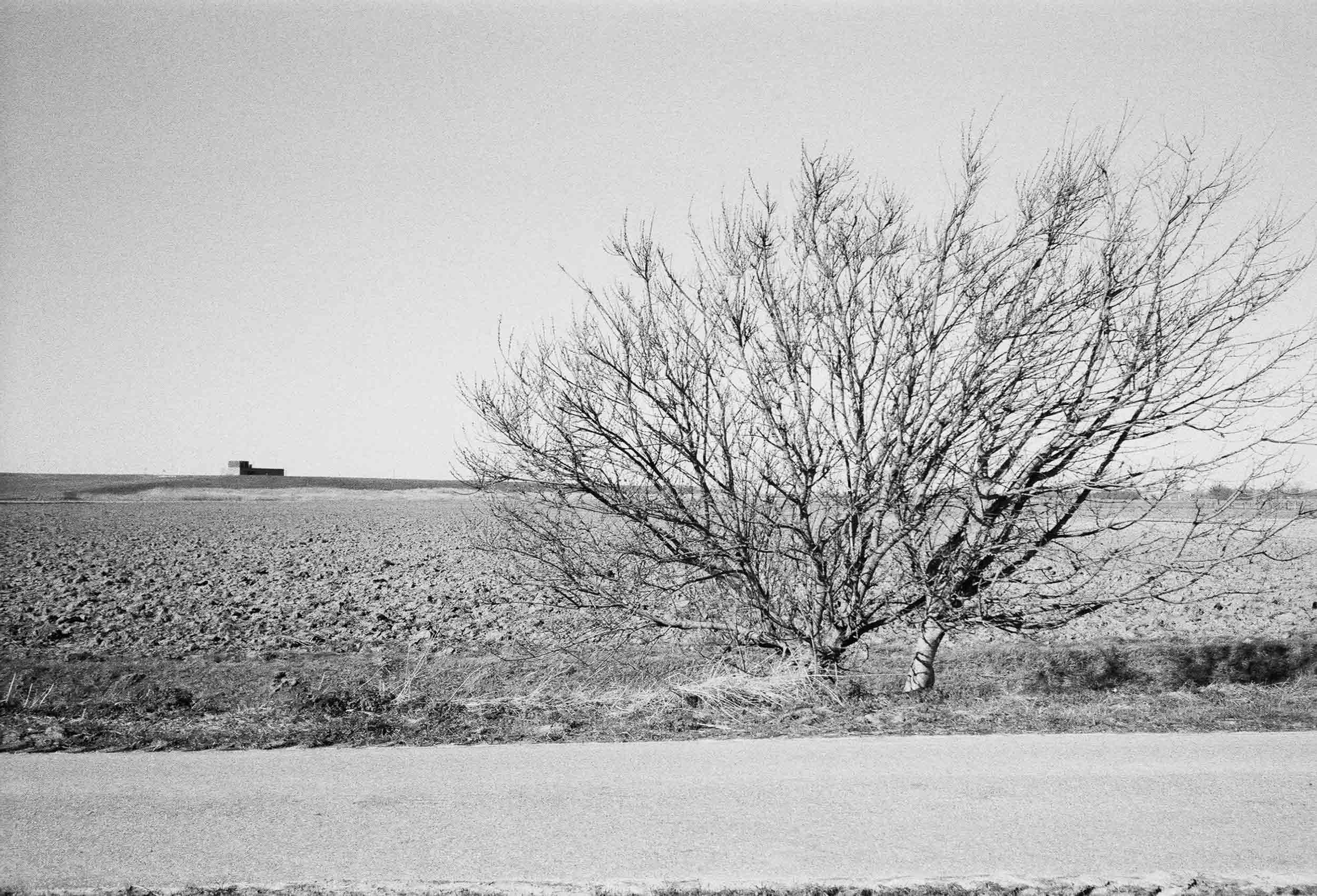 zak-van-zuidbeveland