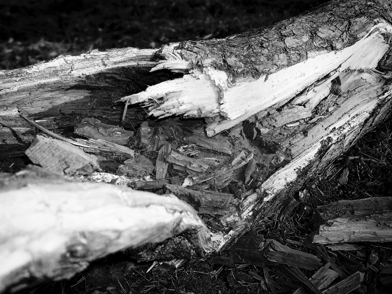 Terugkeer naar aarde